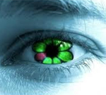 ���� ��������� ���������