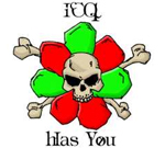 Snatch � ����� ����� � ICQ